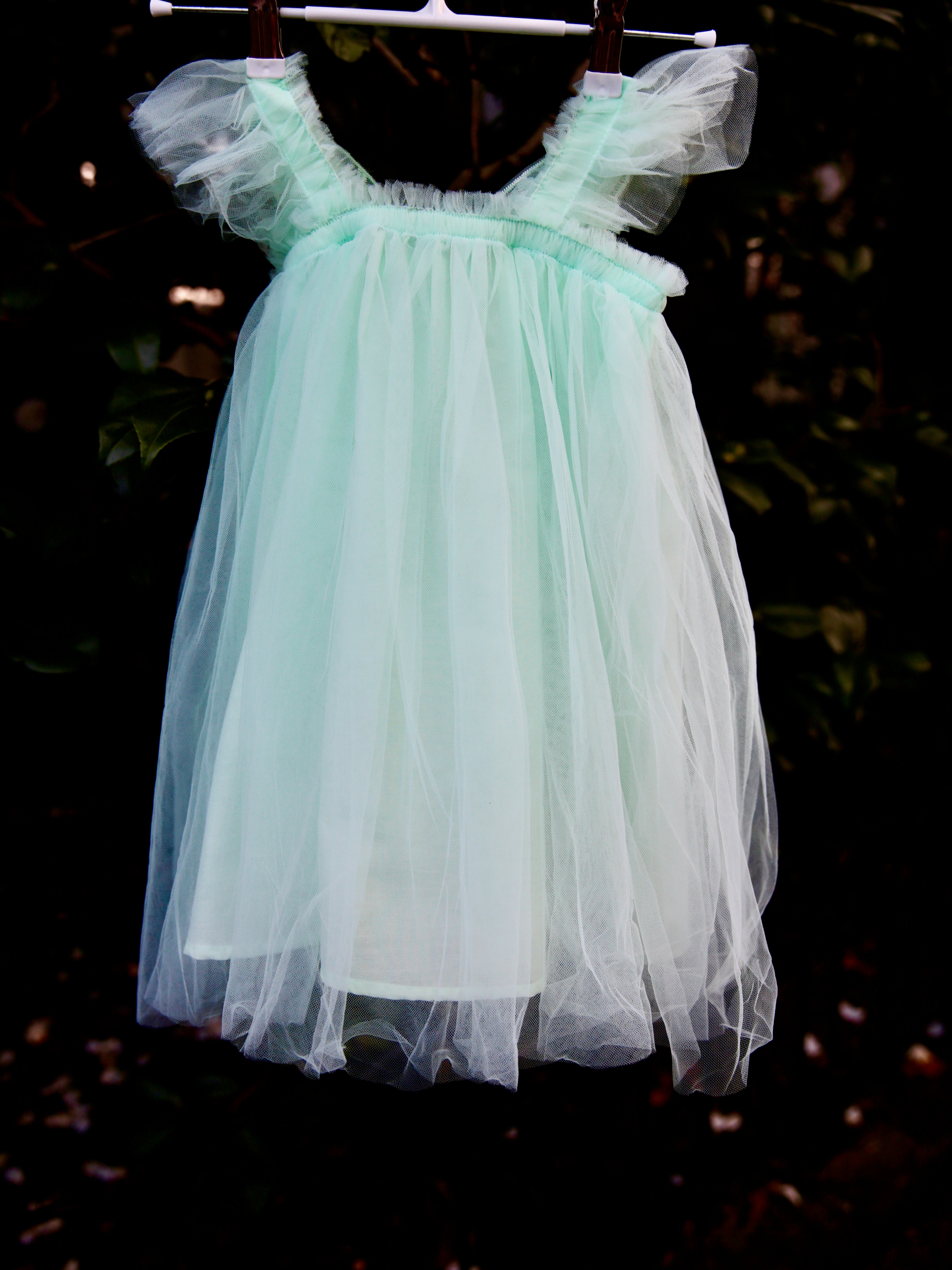 Girls Fairy Wings dress  in Mint Green Tulle. Butterfly wings on the back, party dress, flower girl dress. Birthday photoshoot. Wild Daisy