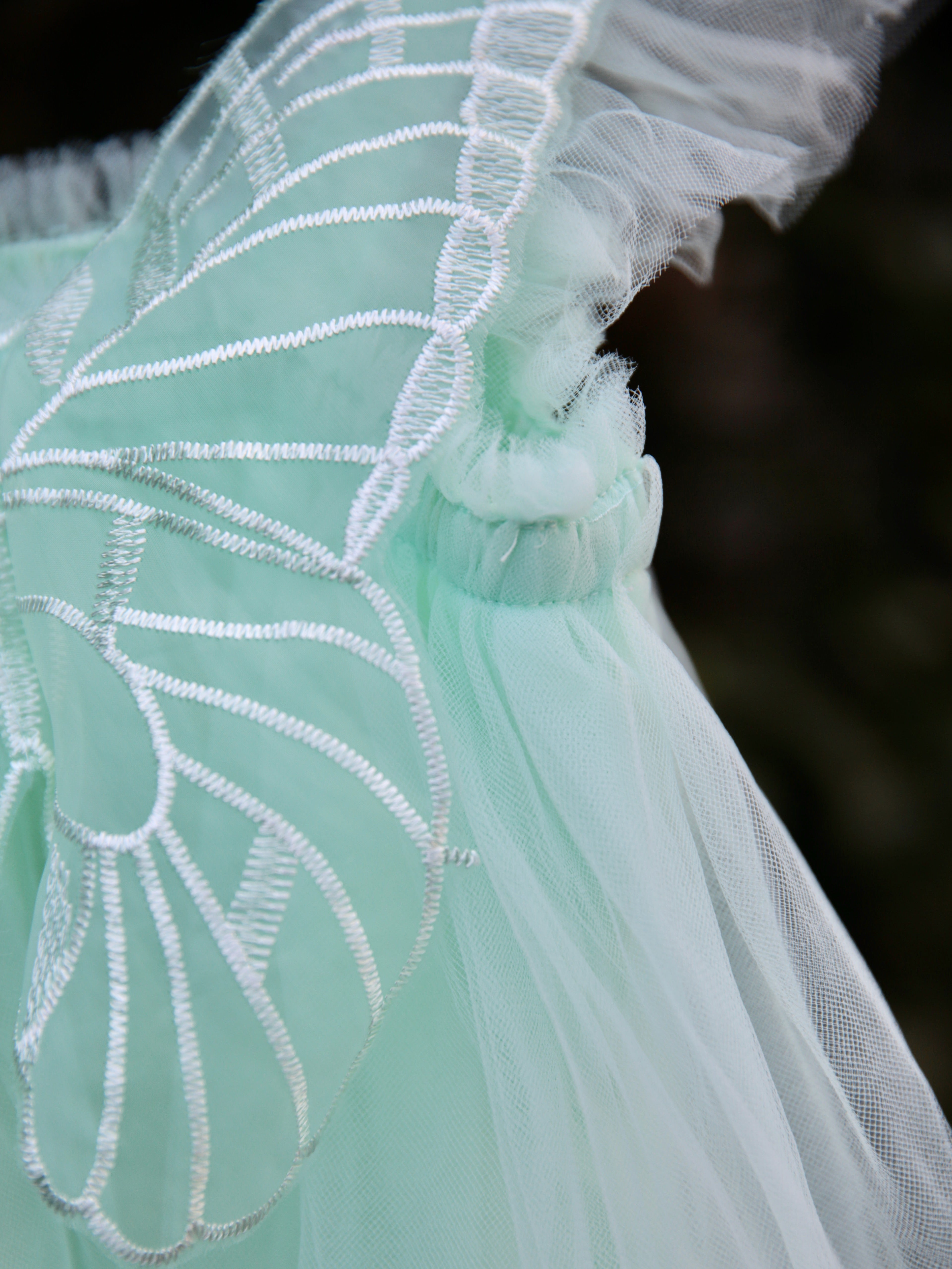 Girls Fairy Wings dress  in Mint Green Tulle. Butterfly wings on the back, party dress, flower girl dress. Birthday photoshoot. Wild Daisy