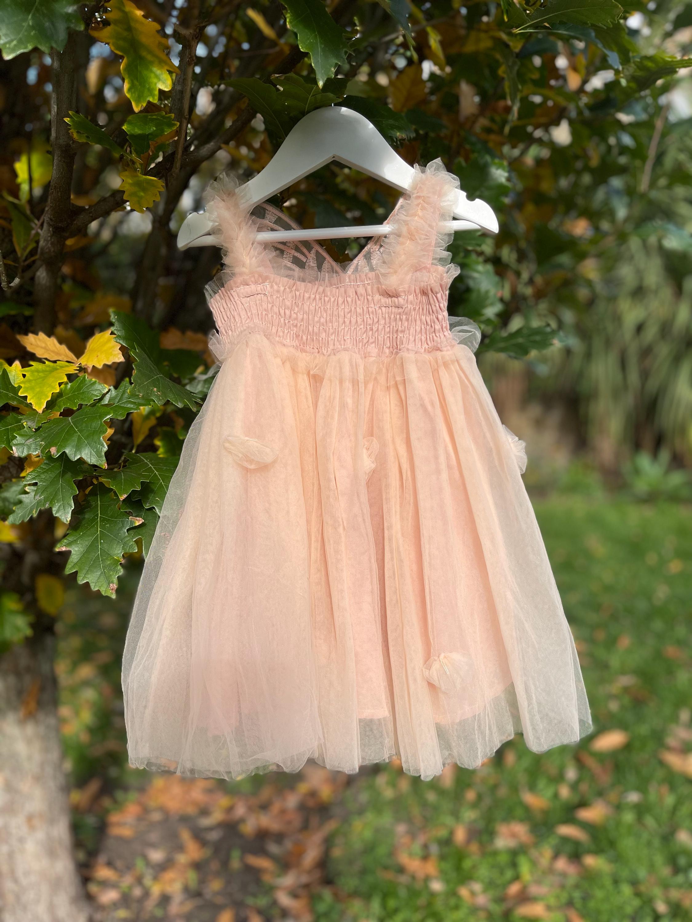 Fairy wing dress in Champagne pink colour Tulle Dress with Butterfly wings on the back, party dress, bridesmaid dress, flower girl dress.